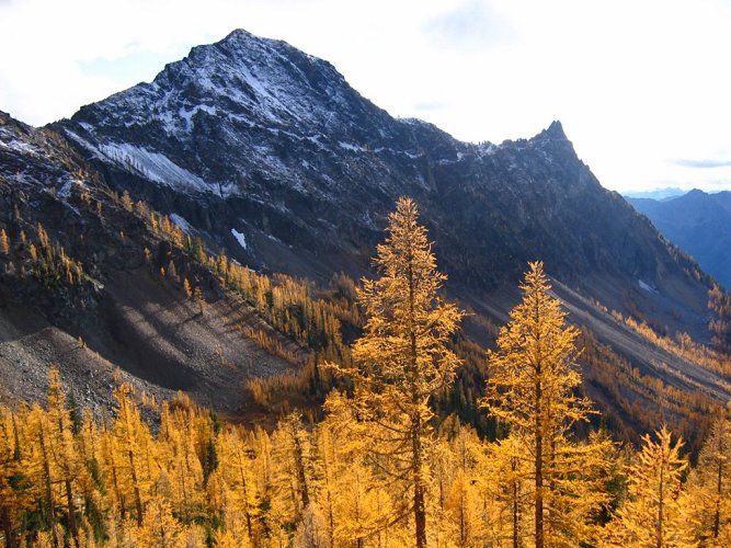 The larches sure glow pretty in the evening sunlight.
Of course, that's not a good sign regarding how much daylight is left for doing Gopher.